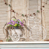 Rustic Bicycle Metal Wire Wall Planter Basket