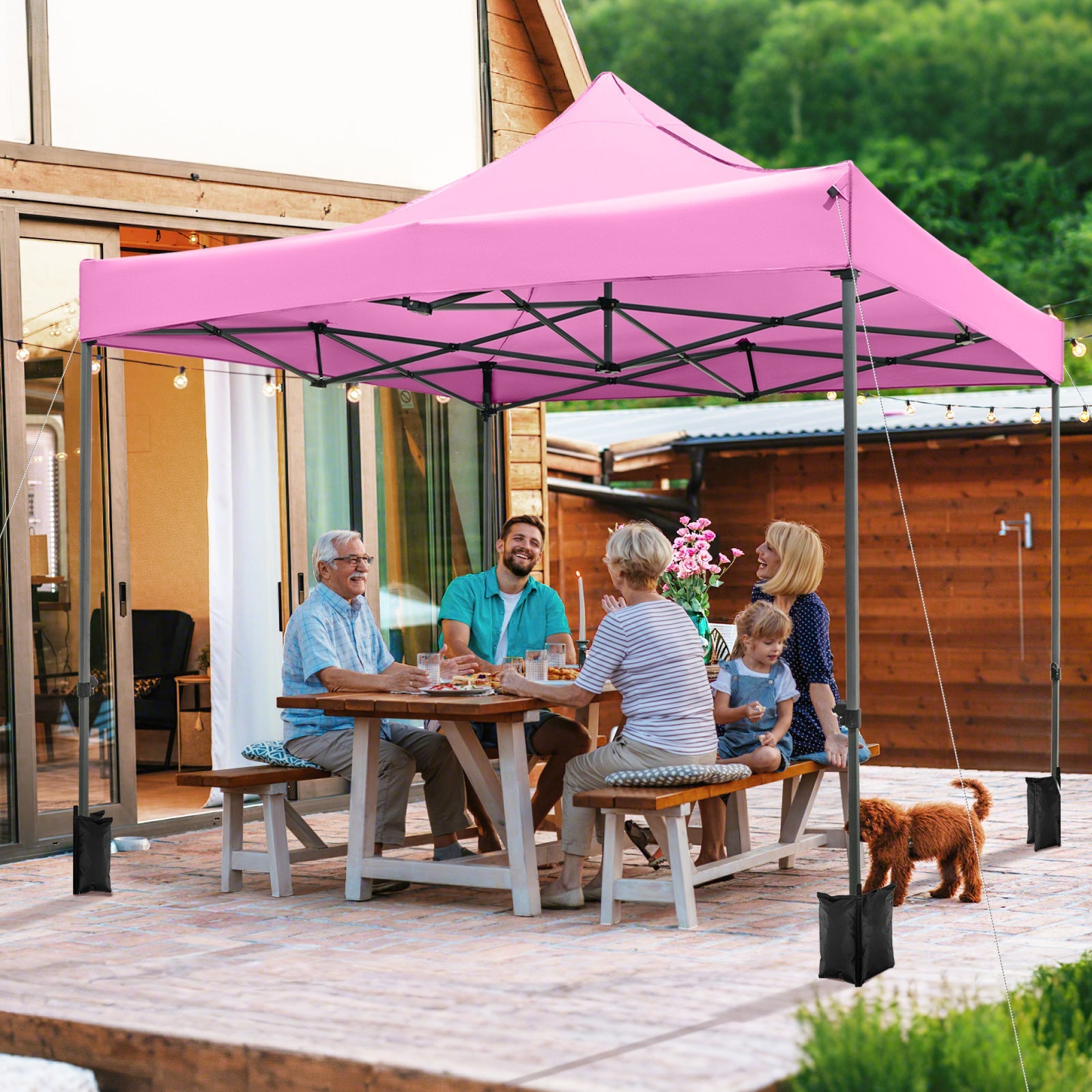 10 x 10 FT Outdoor Pop up Canopy Tent - Easy Setup Gazebo Shelter with Wheeled Bag