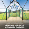 12 X 12 FT Premium T-Shape Polycarbonate Greenhouse With UV Protection And Aluminum Frame