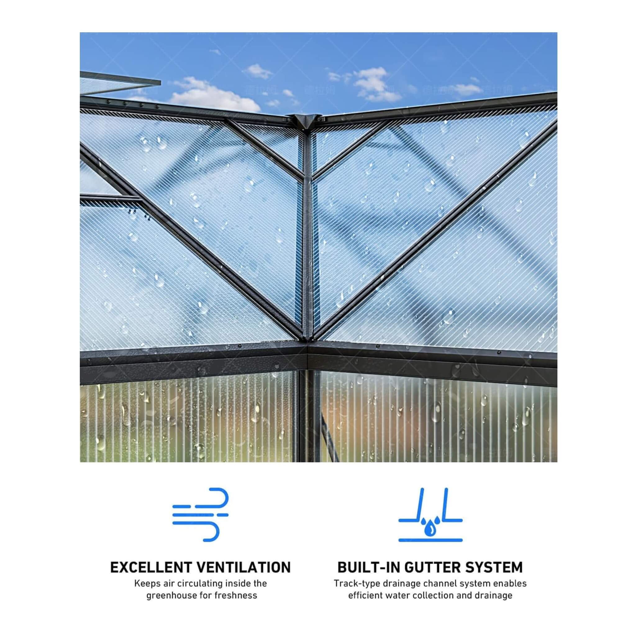 12 X 12 FT Premium T-Shape Polycarbonate Greenhouse With UV Protection And Aluminum Frame