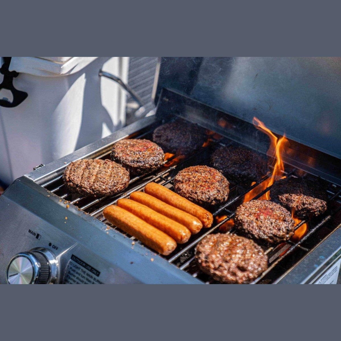 13742 | Stainless Tabletop Propane Gas Grill