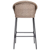 Ladd Outdoor Metal Wicker Barstool Set of 2
