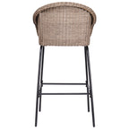 Ladd Outdoor Metal Wicker Barstool Set of 2