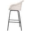 Ladd Outdoor Metal Wicker Barstool Set of 2 - Light Gray