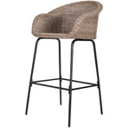 Ladd Outdoor Metal Wicker Barstool Set of 2