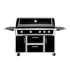 49-Inch Professional 99K BTU Outdoor Stainless Steel BBQ Grill
