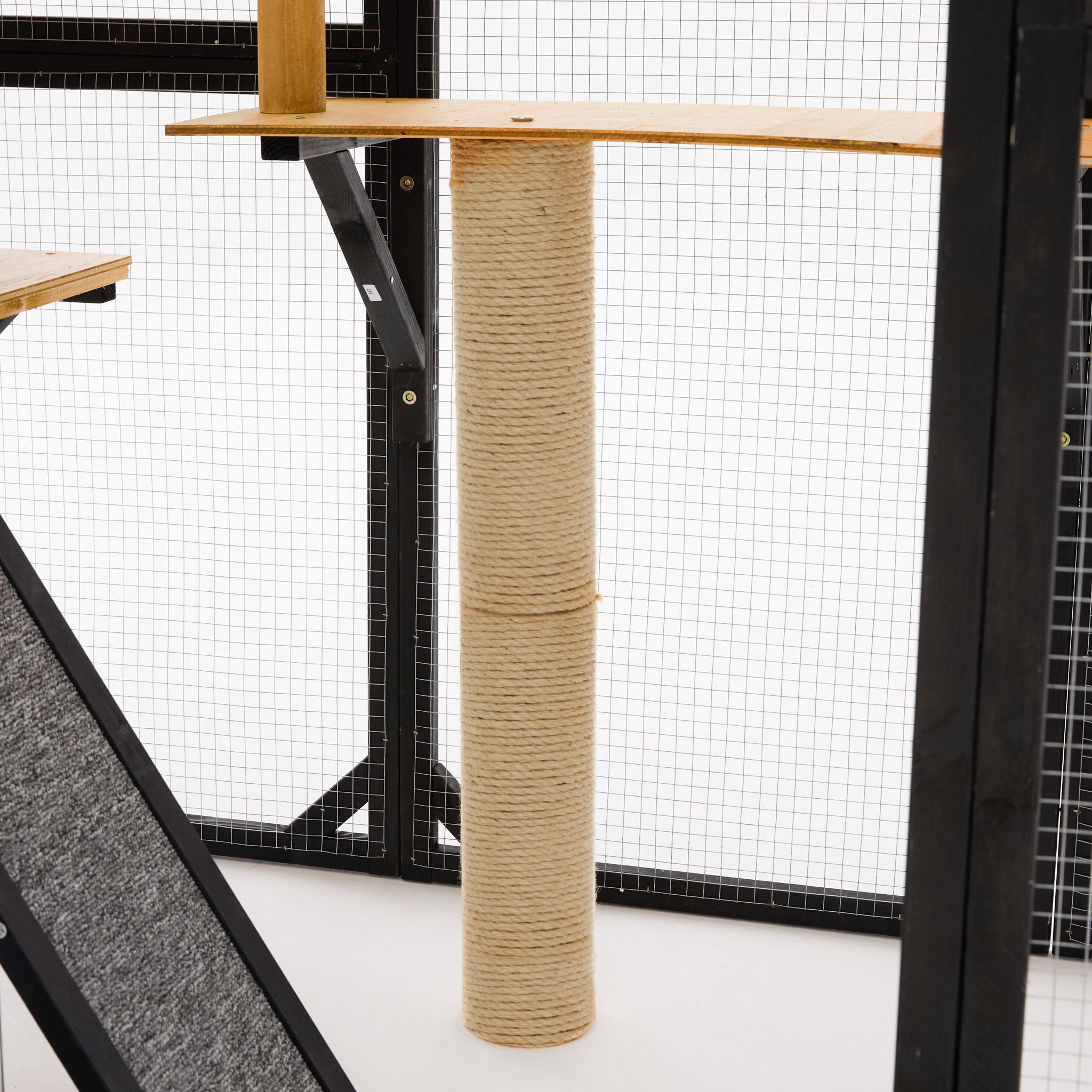 Outdoor Cat Enclosure With Sleeping Houses, Jumping Platforms, & Scratching Post