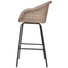 Ladd Outdoor Metal Wicker Barstool Set of 2