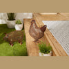 CHICKEN WIRE PIG SCULPTURE