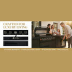 6-Burner 85000 BTU Deluxe Stainless Steel Propane Gas Outdoor Kitchen Grill