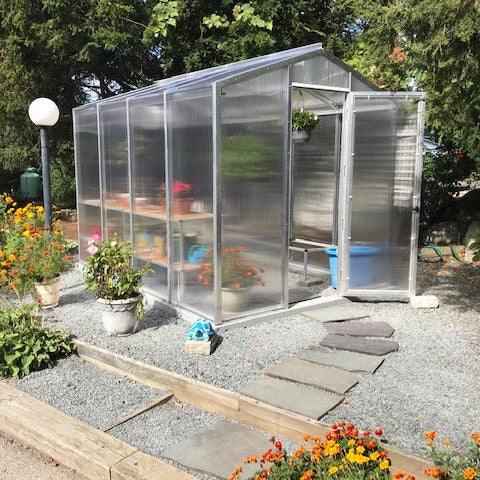 Palmetto Greenhouse 8' x 10'