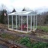 Palmetto Greenhouse 8' x 10'