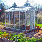 Palmetto Greenhouse 8' x 10'