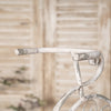 Rustic Bicycle Metal Wire Wall Planter Basket