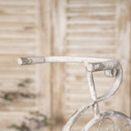 Rustic Bicycle Metal Wire Wall Planter Basket