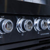 Black Stainless Steel 6-Burner Liquid Propane Kitchen Grill Island With Rotisserie Kit