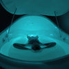 V2 Commercial Home Flotation Sensory Isolation Tank Pod Spa [DPFP201WPE]