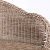 Ladd Outdoor Metal Wicker Barstool Set of 2