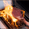 Model 405 | Chic Clearview® Smart Stainless Gas Grill with optional smoker box