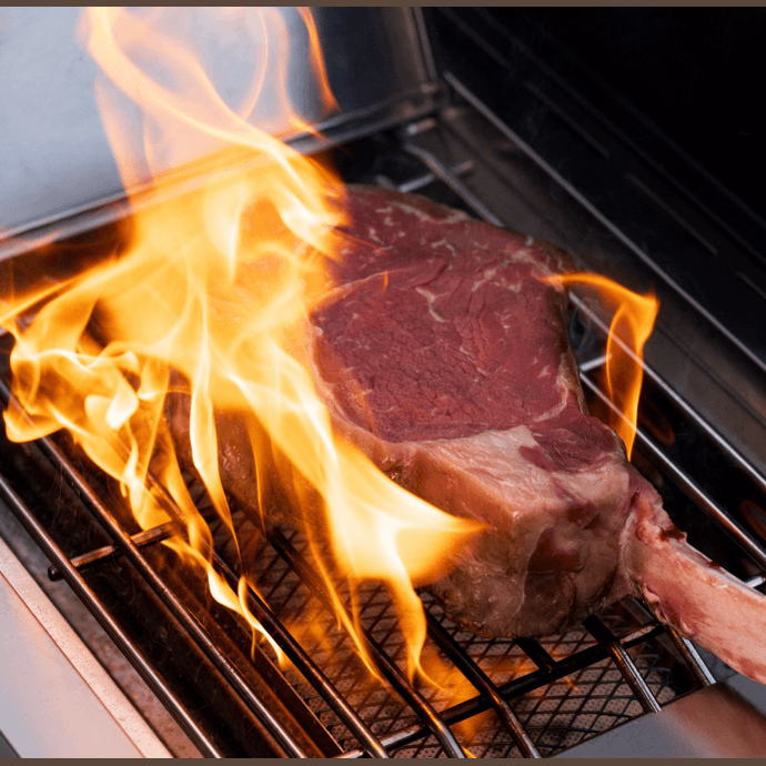 Model 405 | Chic Clearview® Smart Stainless Gas Grill with optional smoker box