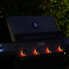 Model 425 | Iconic Fortified Propane Gas Grill with optional smoker box