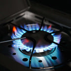 Model 425 | Iconic Fortified Propane Gas Grill with optional smoker box