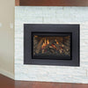 Illume 30FID Traditional Direct Vent Natural Gas Fireplace Insert [30FIDNIS-01]
