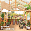 Premium Walk-In Spruce Wood Greenhouse with Pergola and Shelves