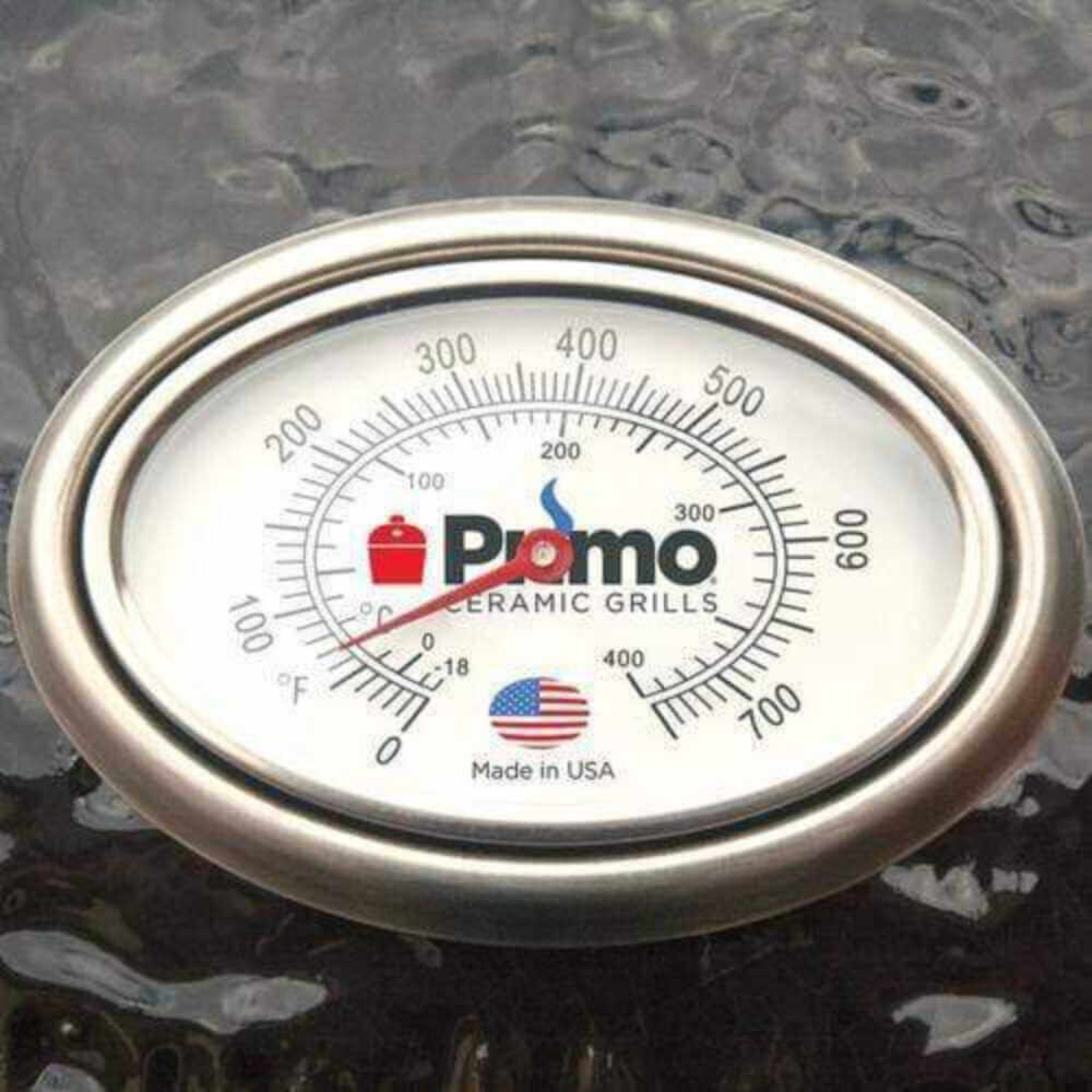 Oval XL 400 All-In-One Kamado Charcoal Grill