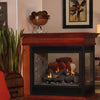 White Mountain Hearth (Empire) Tahoe 36-Inch Propane Gas Direct Vent Premium See Through Fireplace [DVP36SP32EP]